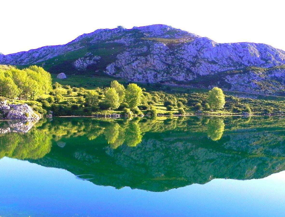 Turismo Rural El Sidron Guest House Piloña Eksteriør bilde